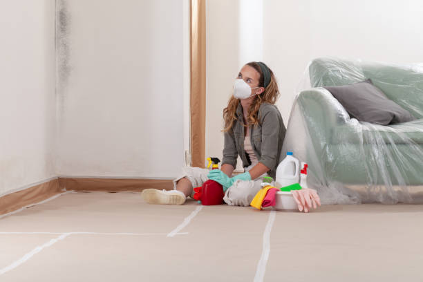 Reliable Mold Remediation contractor in Collinwood, TN by 24 Hour Mold Removal
